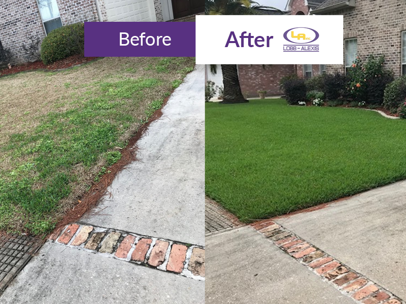 Billy Numbers - Accountant